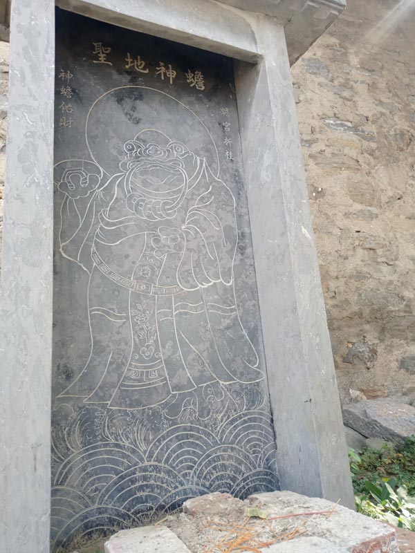 圣地神蟾