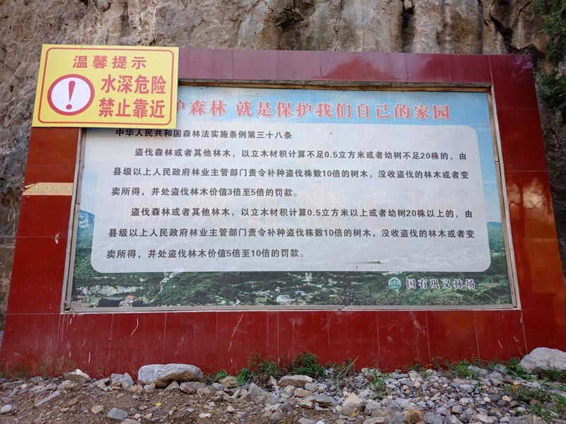 中华人民共和国森林法实施条例第三十八条