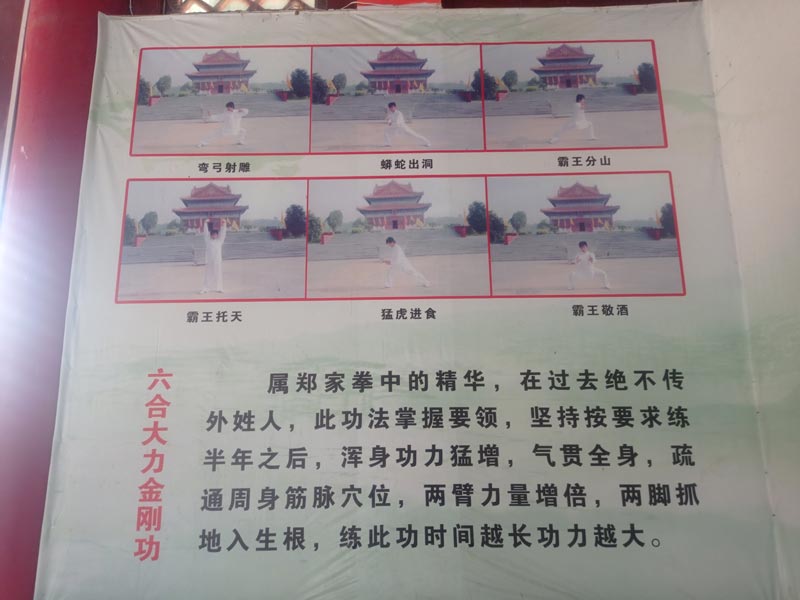 六合大力金刚功